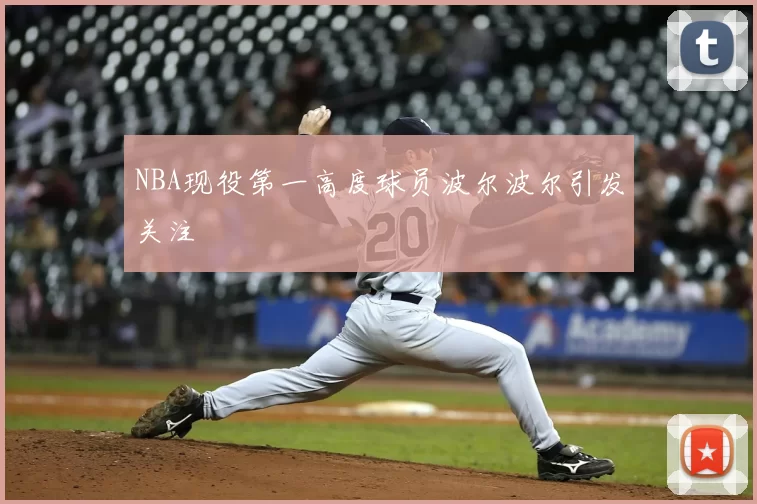 NBA现役第一高度球员波尔波尔引发关注