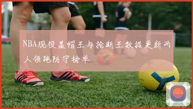 NBA现役盖帽王与抢断王数据更新两人领跑防守榜单